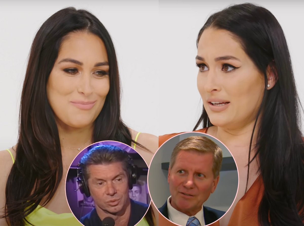 Bella Twins Launch Assertion On WWE Scandal - However Get Slammed By Followers For THIS Unsettling Motive!